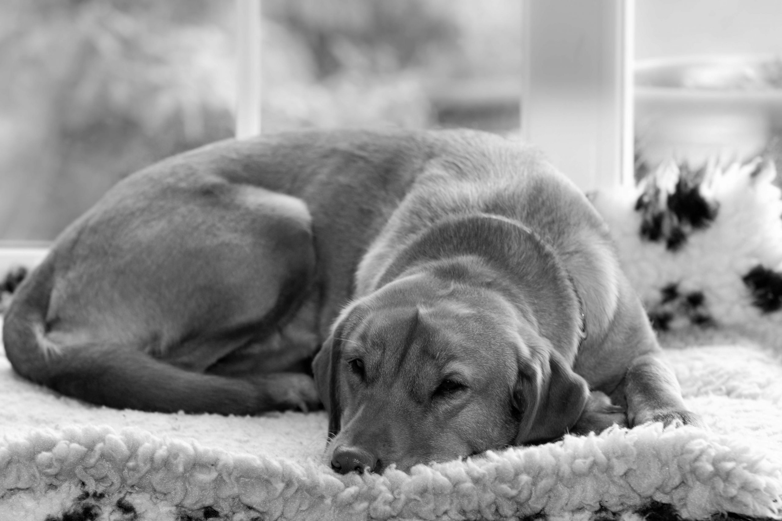 You are currently viewing On Your Bed