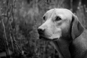 Read more about the article Sit