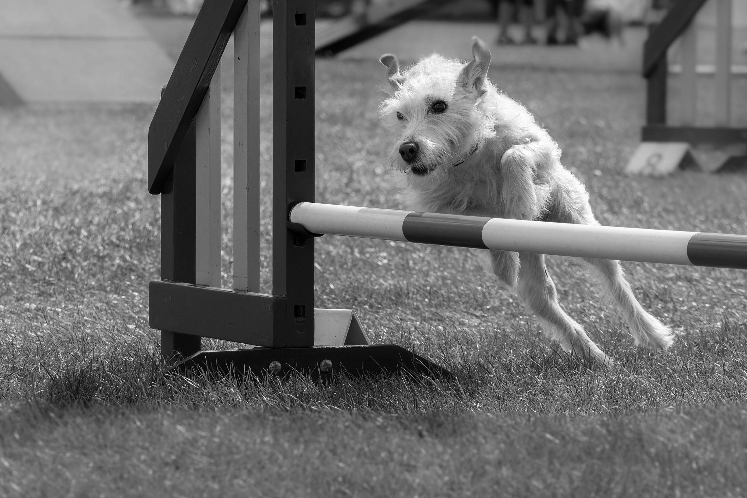 You are currently viewing The Three Ds