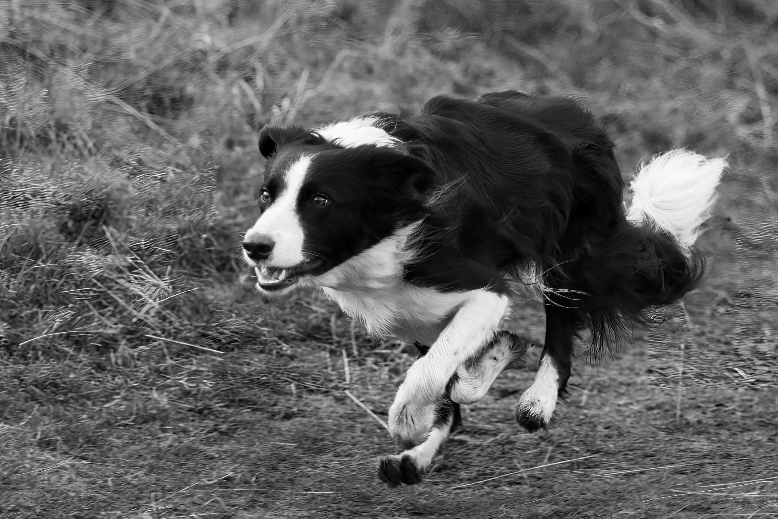 You are currently viewing Recall