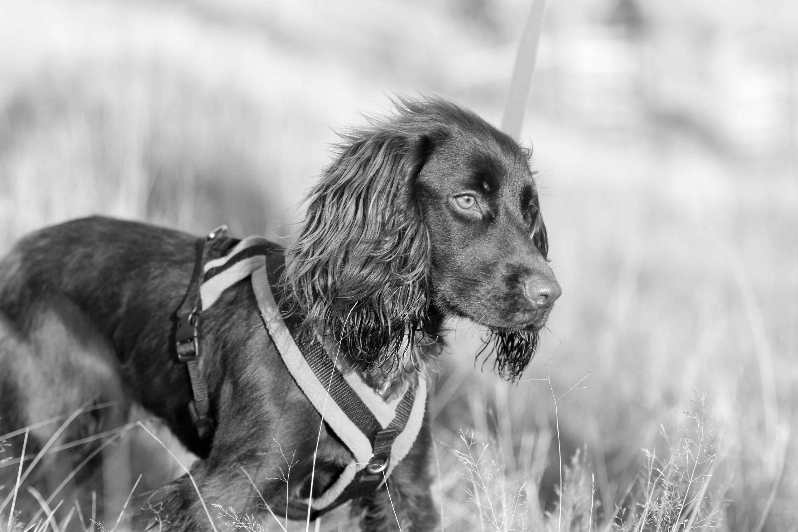 You are currently viewing Proximity