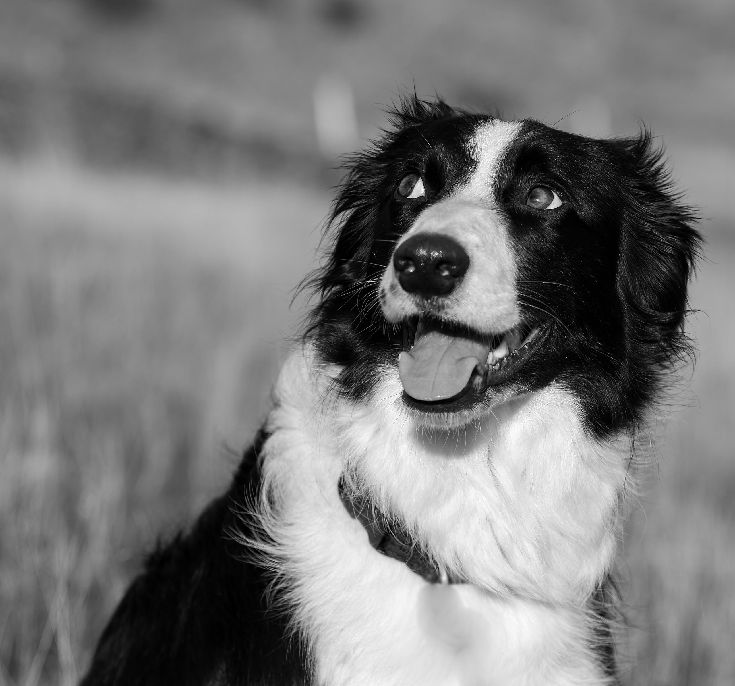 You are currently viewing Reinforcement