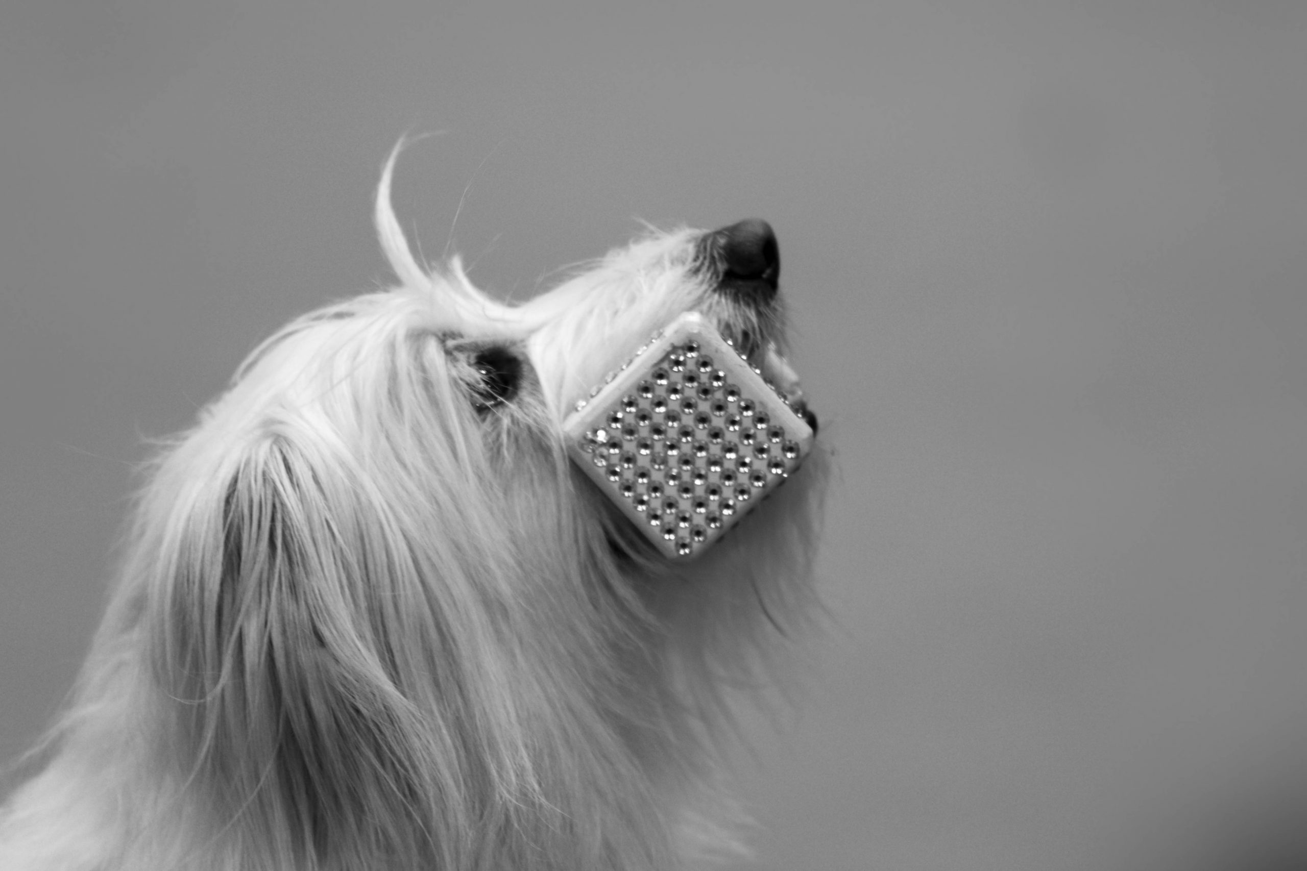 You are currently viewing No!