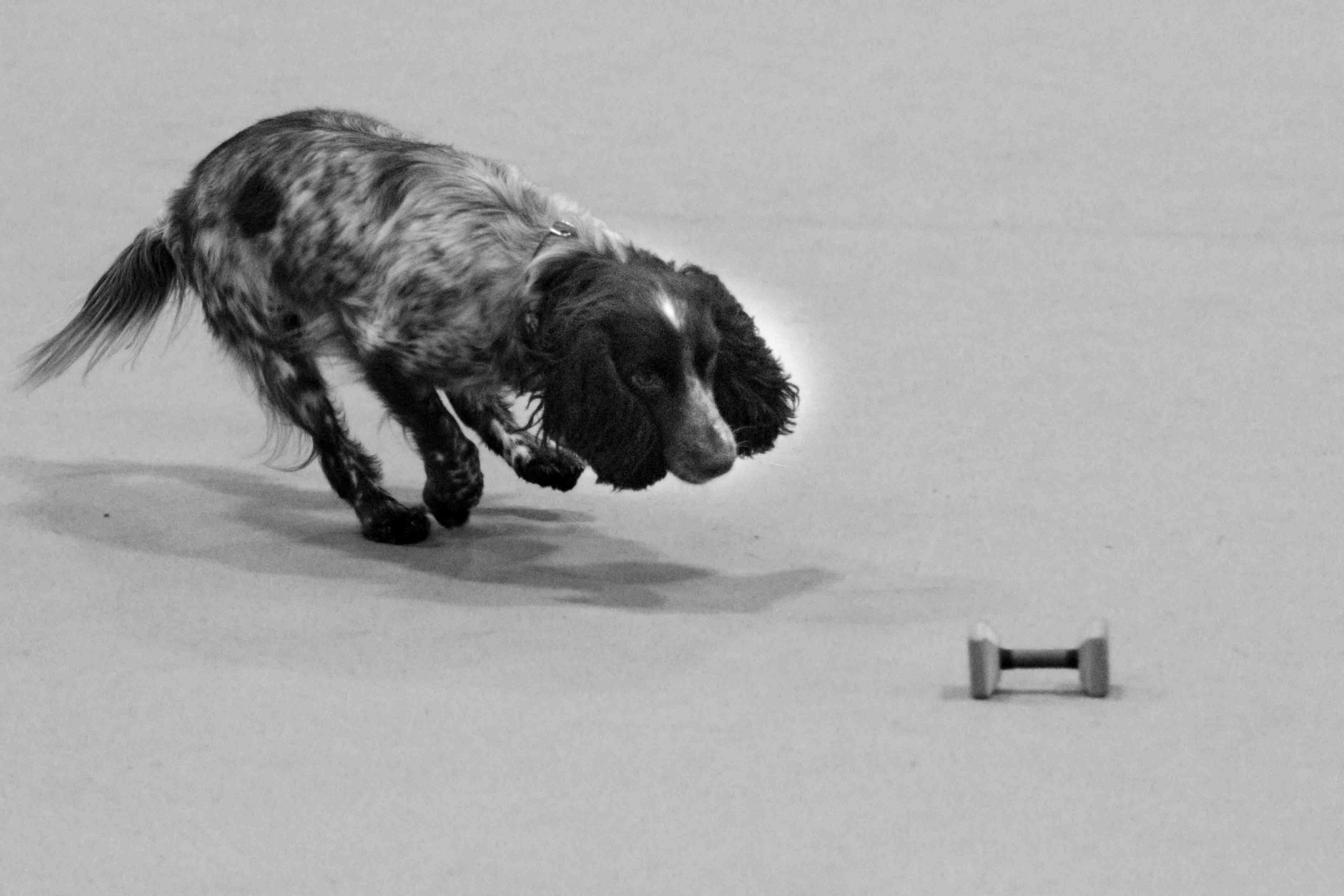 You are currently viewing Find it